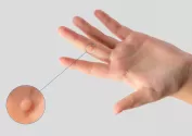 Görsel 7