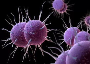 Gonore (Bel Soğukluğu)